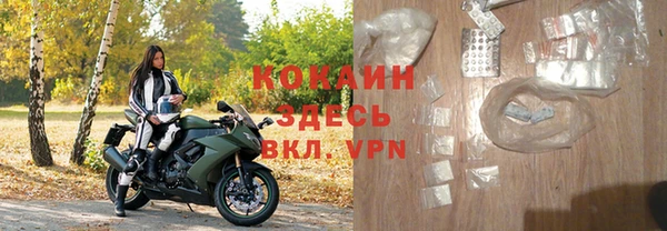 крисы Сатка