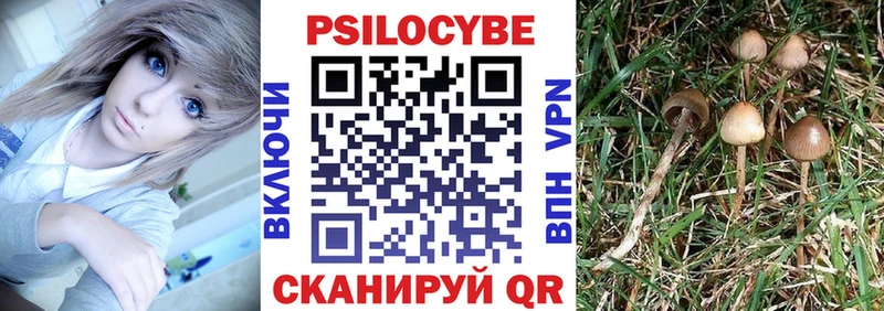 Псилоцибиновые грибы Magic Shrooms  OMG ТОР  Павловск 